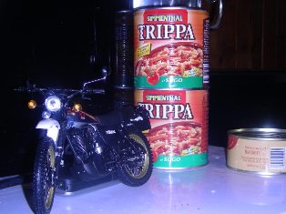 DSCN7684.JPG