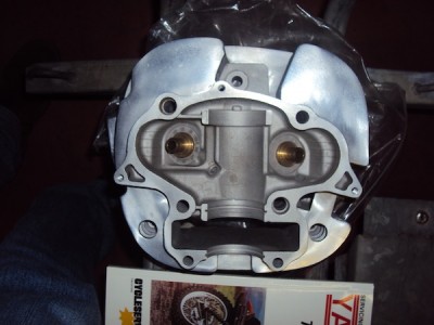 testa_twin_spark_1.jpg