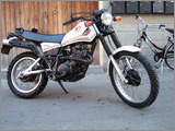 xt 550.jpg