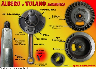 ALBERO e VOLANO.jpg